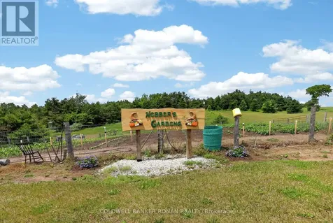 2362 Concession Road 2 Adjala-tosorontio ON L0N 1P0