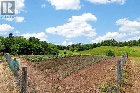 2362 Concession Road 2 Adjala-tosorontio ON L0N 1P0