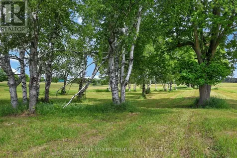 2362 Concession Road 2 Adjala-tosorontio ON L0N 1P0