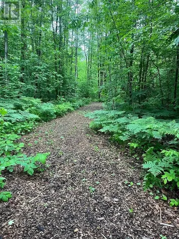 3196 Fesserton Sideroad Tay ON L0K 2C0
