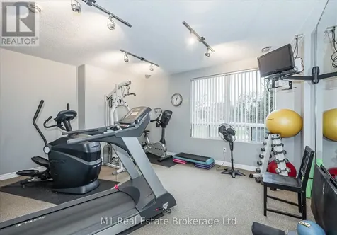 60 Wyndham Street South Guelph (st. Patrick's Ward) ON N1E 7H7