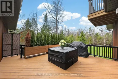 53 Broadview Street Collingwood ON L9Y 0X2