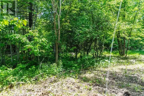 Lot 1 Torpitt Road Severn ON P0E 1N0