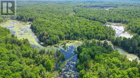 932 Hunt Club Road Madoc ON K0K 2K0