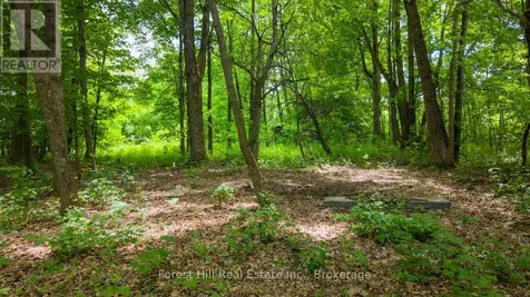 154 Bowles Bluff Road Grey Highlands ON N0C 1H0