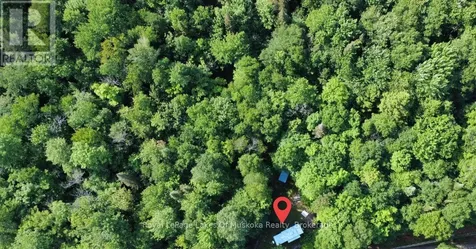 849 Hamilton Lake Road Machar ON P0A 1X0