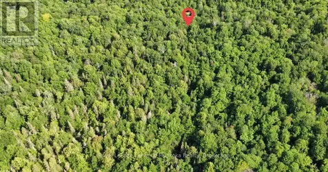 849 Hamilton Lake Road Machar ON P0A 1X0