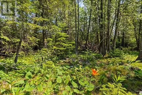 6 Island View Road Northern Bruce Peninsula ON N0H 1W0