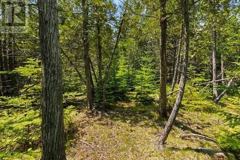 6 Island View Road Northern Bruce Peninsula ON N0H 1W0