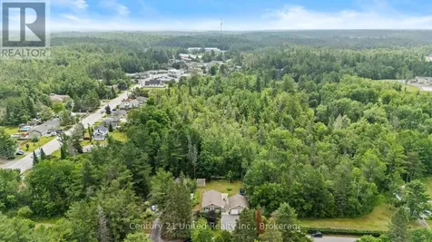 31 River Street North Kawartha ON K0L 1A0