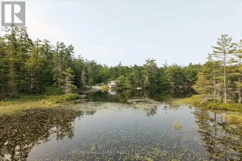 11 Fire Route 44 Route North Kawartha ON K0L 2H0