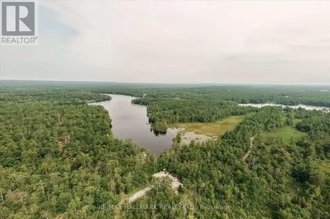 11 Fire Route 44 Route North Kawartha ON K0L 2H0