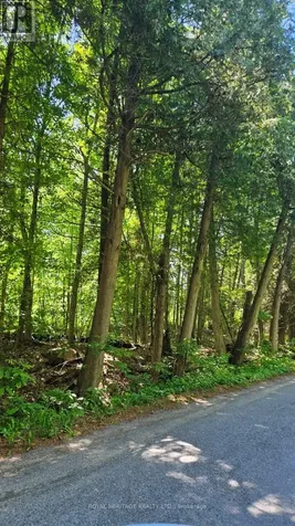 21-A Mill Line Road Trent Lakes ON K0M 1A0