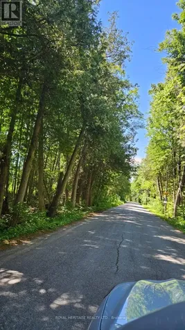 21-B Mill Line Road Trent Lakes ON K0M 1A0