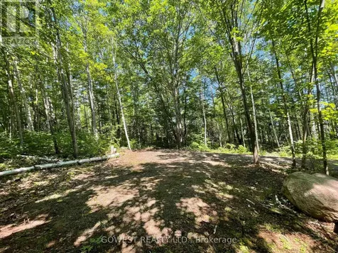 692 Mitchell Road Madawaska Valley ON K0J 1B0