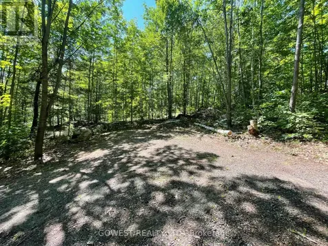 692 Mitchell Road Madawaska Valley ON K0J 1B0