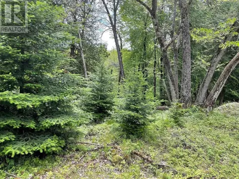 Lot 4 Smith Island Callander ON P0H 1H0