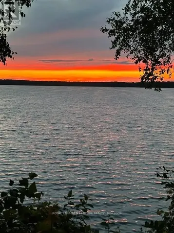 321 Avery Point Road Kawartha Lakes (carden) ON L0K 1W0