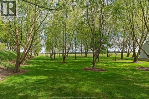24122 Poppe Road Tilbury ON N0P 2L0