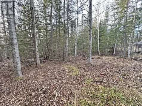 115 Golf Course Road Nipigon ON P0T 2J0