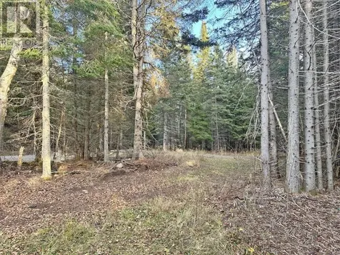 115 Golf Course Road Nipigon ON P0T 2J0