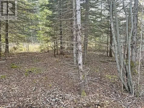 115 Golf Course Road Nipigon ON P0T 2J0
