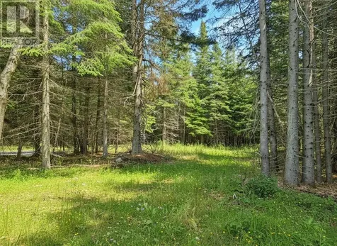 115 Golf Course Road Nipigon ON P0T 2J0