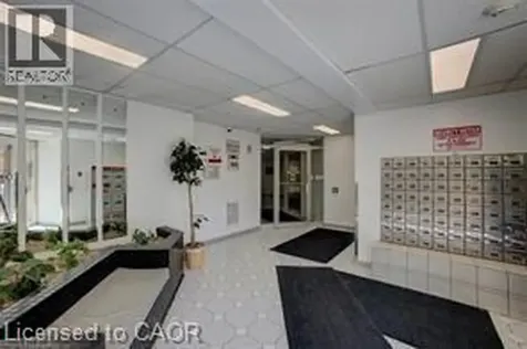 15 Hofstetter Avenue Kitchener ON N2A 3Z7