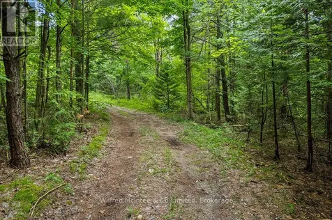 302075 Concession 2 Sideroad West Grey ON N4N 3B8