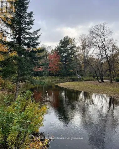 161 Mcfadden Road North Kawartha ON K0L 1A0