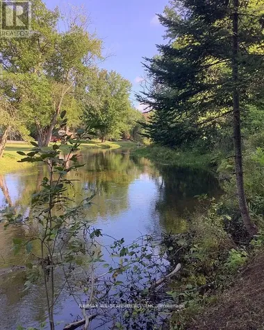 161 Mcfadden Road North Kawartha ON K0L 1A0