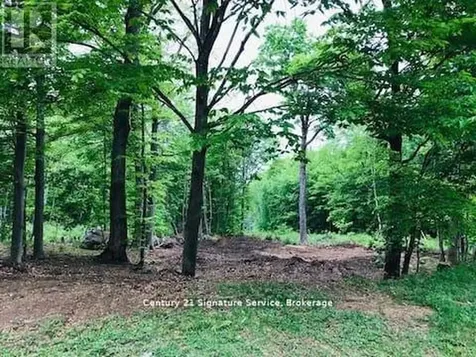 879 Stephenson Road East Huntsville ON P0B 1L0
