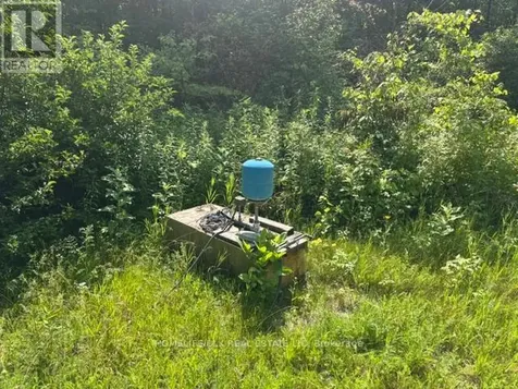 8300 Klitbo Road Augusta ON K0G 1R0