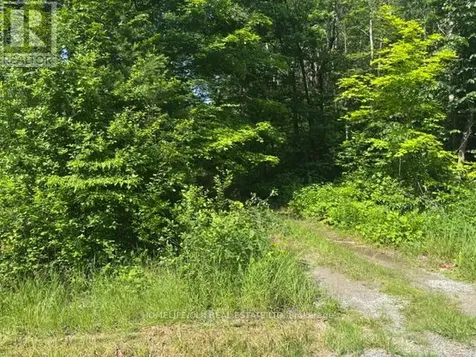 8300 Klitbo Road Augusta ON K0G 1R0