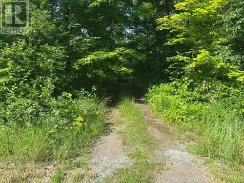 8300 Klitbo Road Augusta ON K0G 1R0