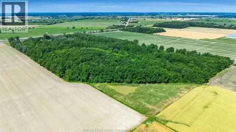 383 South Talbot Road Kingsville ON N8M 2X5