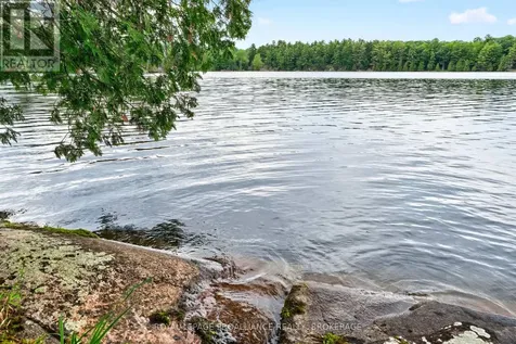 3 Scott Island Rideau Lakes ON K0G 1X0