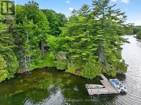 3 Scott Island Rideau Lakes ON K0G 1X0