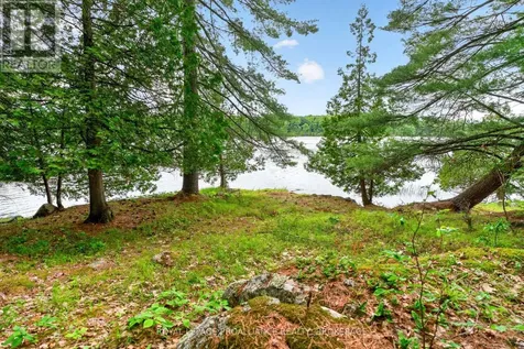 3 Scott Island Rideau Lakes ON K0G 1X0