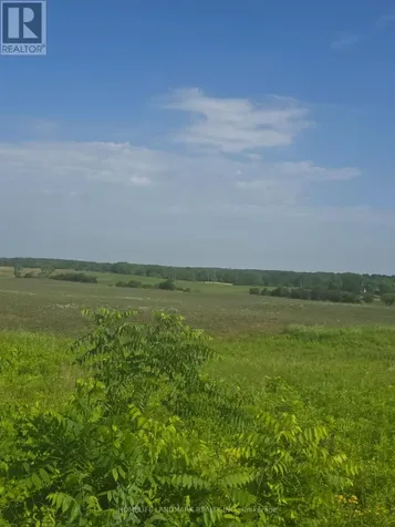 5177 Highway #6 Haldimand ON N3W 1Z8