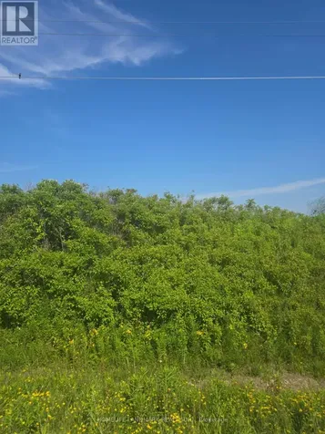 5177 Highway #6 Haldimand ON N3W 1Z8