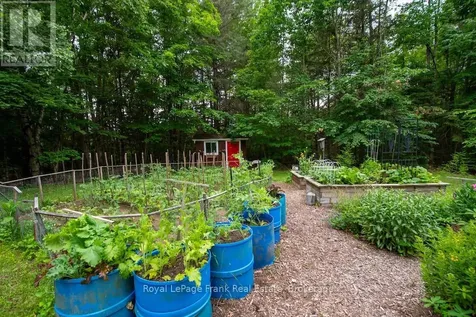 3719 County Rd 507 Road Trent Lakes ON K0L 1J0