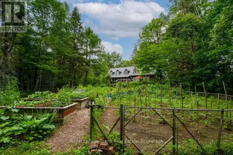 3719 County Rd 507 Road Trent Lakes ON K0L 1J0