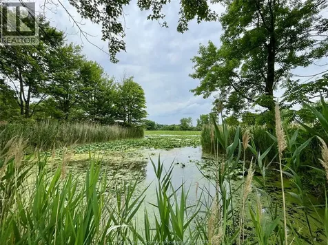 3371 County Road 20 Amherstburg ON N9V 2Y8