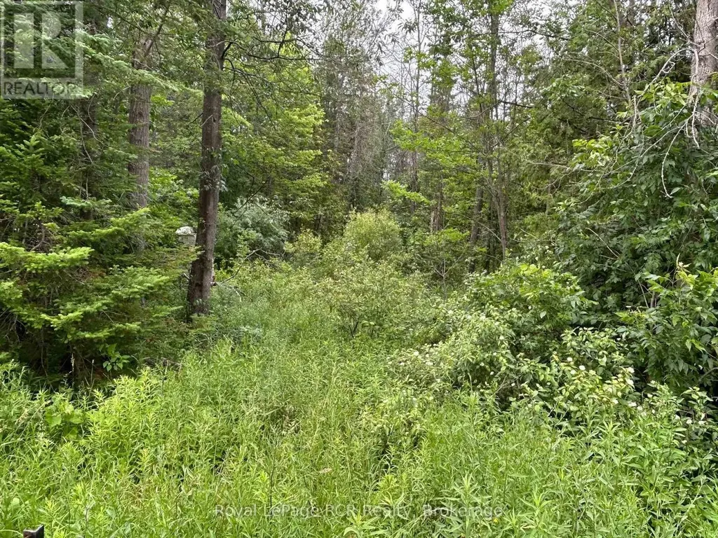 Part Lot 2 Conc 17 Road Georgian Bluffs ON N0H 2T0