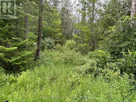 Part Lot 2 Conc 17 Road Georgian Bluffs ON N0H 2T0
