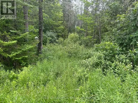 Part Lot 2 Conc 17 Road Georgian Bluffs ON N0H 2T0