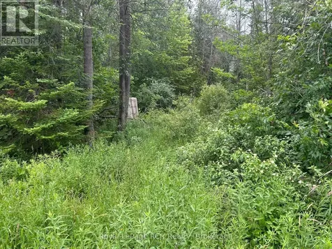 Part Lot 2 Conc 17 Road Georgian Bluffs ON N0H 2T0