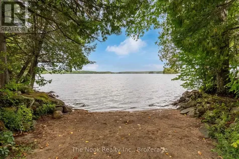 37 Goldfinch Lane North Kawartha ON K0L 1A0