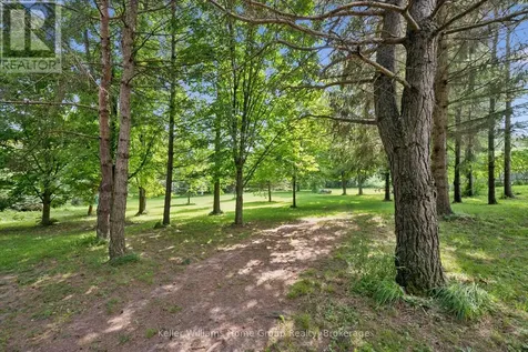 9540 Ayton Road Minto ON N0G 1Z0